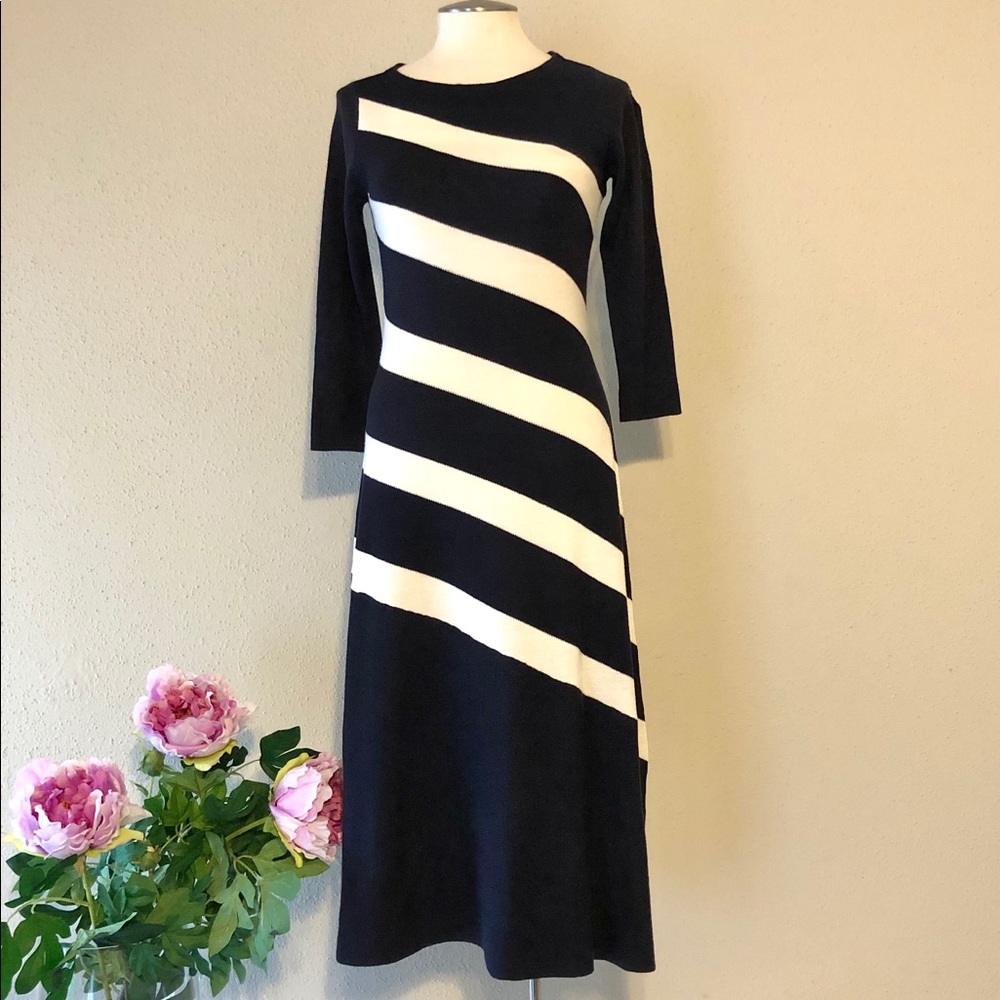 Ann Taylor Sweater Dress - Navy and White - Petite